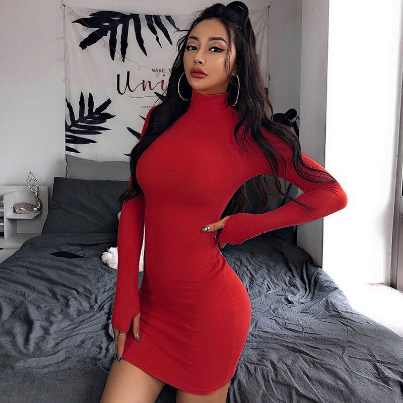 Solid Color Long Sleeve Turtleneck Dress