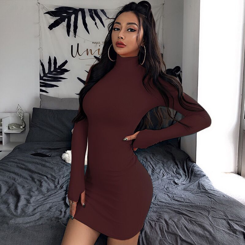 Solid Color Long Sleeve Turtleneck Dress